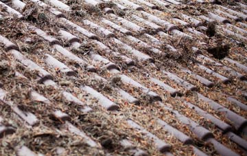 Luddington In The Brook roof cleaning companies